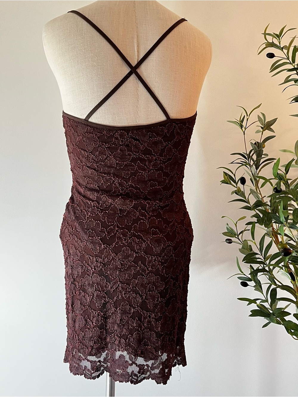 Vintage bisou bisou Lace Slip Dress in Chocolate Brown - Picture 3 of 4